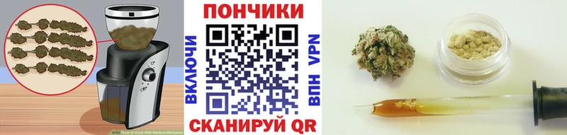 цены наркотик  Алатырь  Печенье с ТГК марихуана 